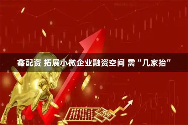 鑫配资 拓展小微企业融资空间 需“几家抬”